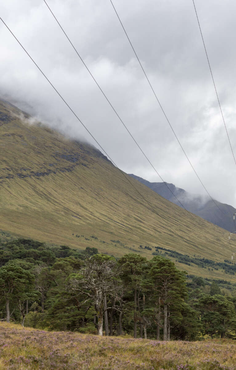 Calum Darling 1 P4 A7801